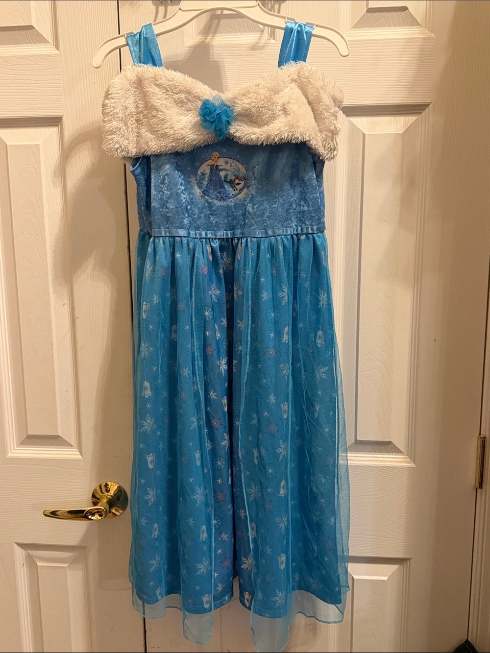 Disney Blue Elsa Frozen Dress-White Fur Trim, Velour Bodice, Tulle Satin Overlay